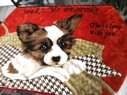 Lovely Papillon Throw - You're my Destiny... I'm in Love with you